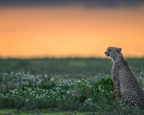  西安陕西华锋电力设计咨询有限公司及陕西华峰电子科技有限公司——专业电力设计咨询和电子科技解决方案的领先企业
