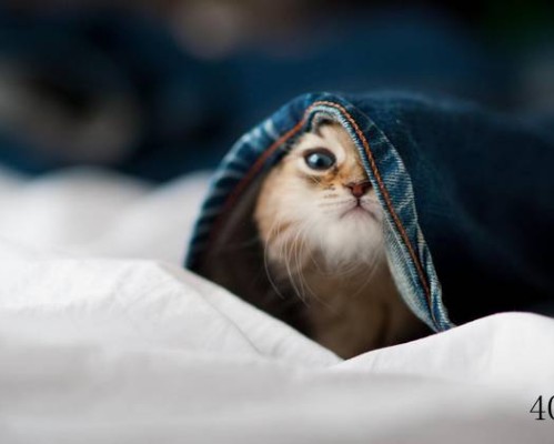 公司取名有奖征集啦！