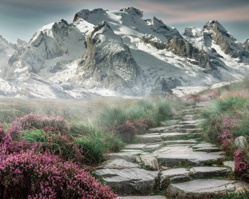 一般纳税人增值税的计税方法一般为什么