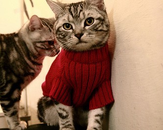 泉州闽南影城官网