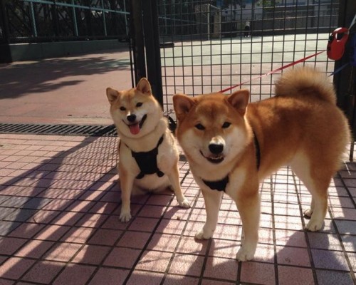  西安正荣生物科技有限公司：致力于推动生物科技行业发展的领军企业