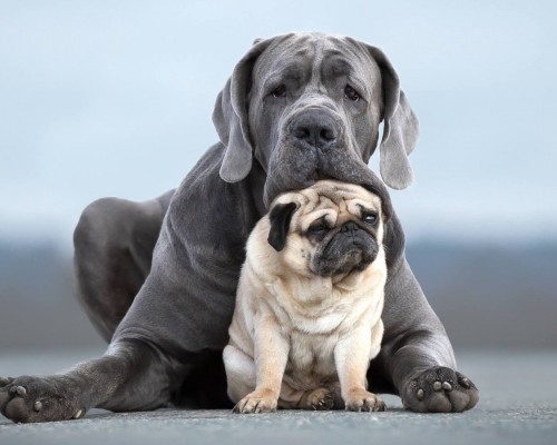 咸阳楠鸢怎么样（咸阳楠鸢主题spa会馆）