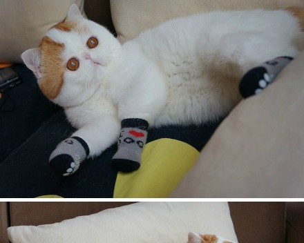  西安常和建筑材料有限公司招聘：提供稳定就业机会，打造美好职业生涯