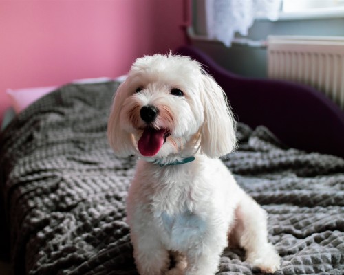 西安蓬湖区怎么样（西安市蓬湖区邮编）