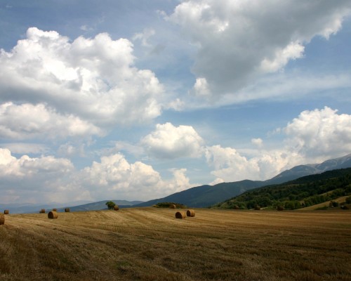 陕西交大药物分析怎么样（陕西交大药物分析怎么样啊）
