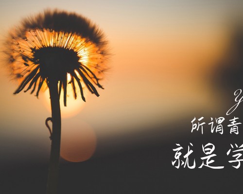  西安旅游攻略：历史文化之旅