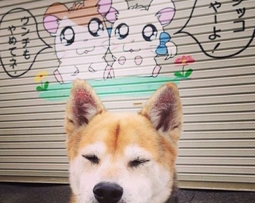  自由行攻略 | 太原到西安旅游指南