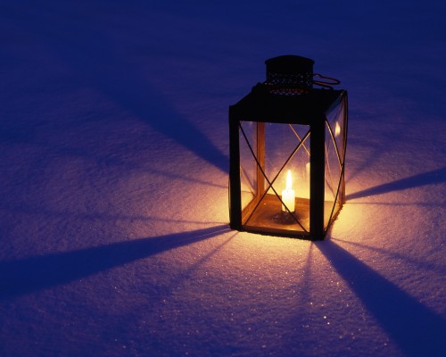 武汉中禾国际贸易有限公司怎么样