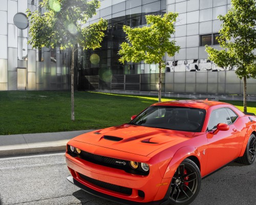 陕西正大大学怎么样