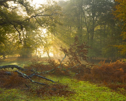 西安市未央区也养老中心什么级别， 西安市未央区养老中心的级别与服务特色