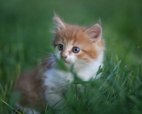 中南大学湘雅三医院官网