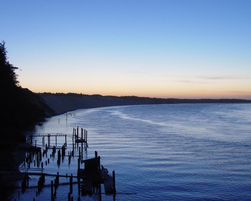  如何查商标及商标查询方法