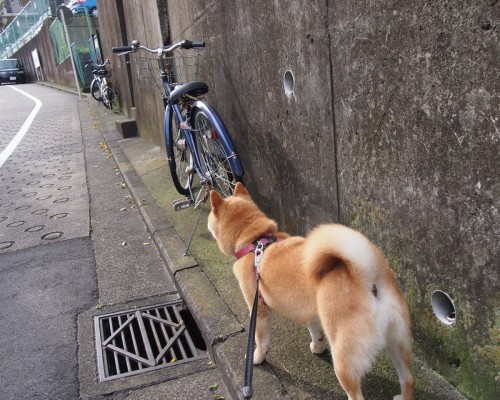  西安绿泉科技有限公司：创新科技引领行业发展