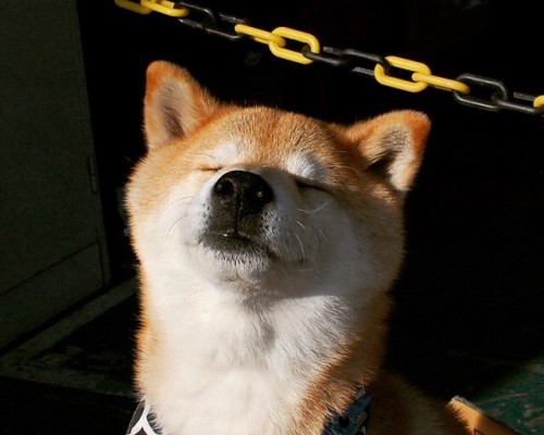  如何选择西安旅行团？西安旅行团哪家好？攻略分享