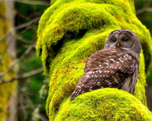  西安亿隆机电科技有限公司：一家致力于机电设备研发及销售的企业