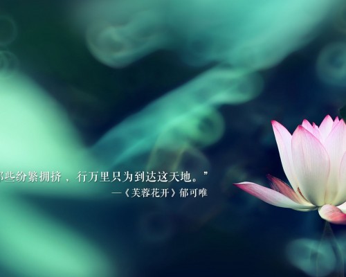 汉中栈道大酒店怎么样（汉中栈道大酒店怎么样啊）