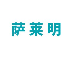 萨莱明智能锁
