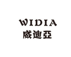 威迪亚智能锁