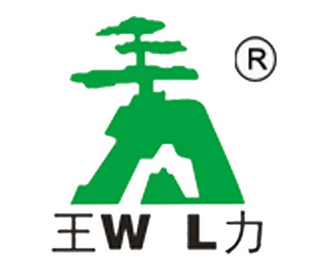 王力智能锁