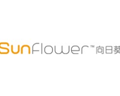 向日葵电动窗帘