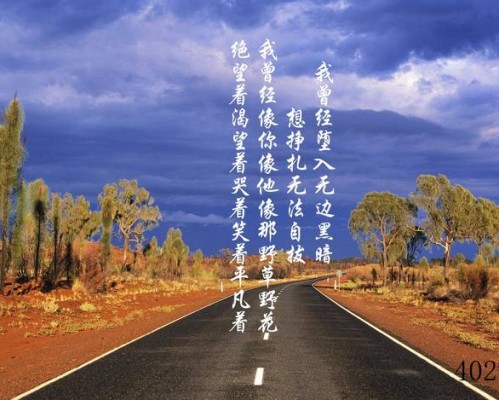 Solone官网