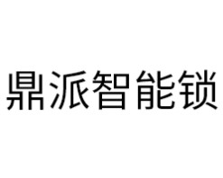 鼎派智能锁