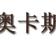 奥卡斯智能锁