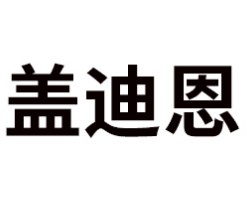 盖迪恩智能锁