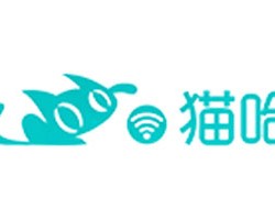 猫哈