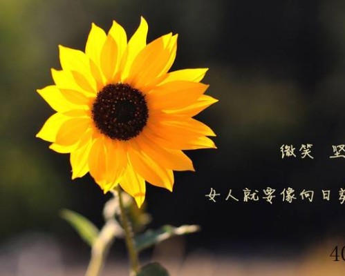 Channel 5官网
