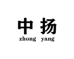 中扬智能锁