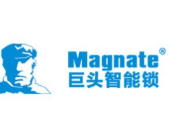 巨头智能锁