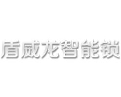盾威龙智能锁