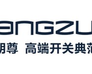 朗尊开关