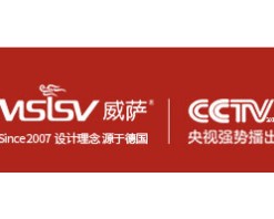 威萨智能锁